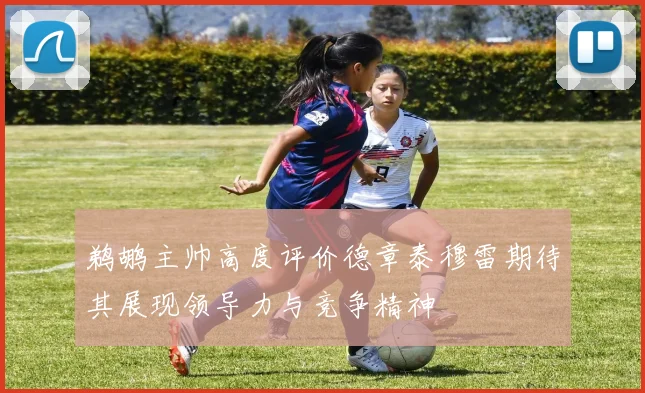 鹈鹕主帅高度评价德章泰穆雷期待其展现领导力与竞争精神