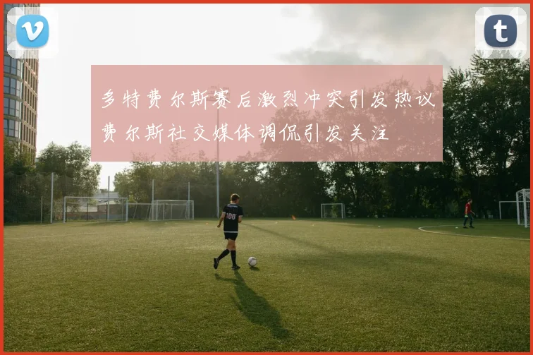 多特费尔斯赛后激烈冲突引发热议费尔斯社交媒体调侃引发关注