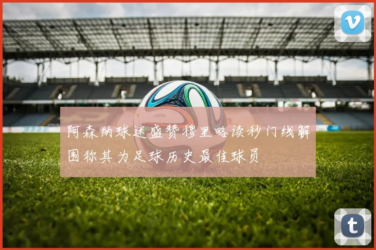 阿森纳球迷盛赞穆里略读秒门线解围称其为足球历史最佳球员